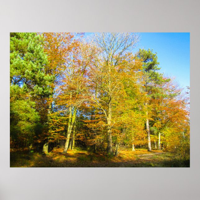 Poster Autumn Woods & Sunshine - Personalised (Frente)