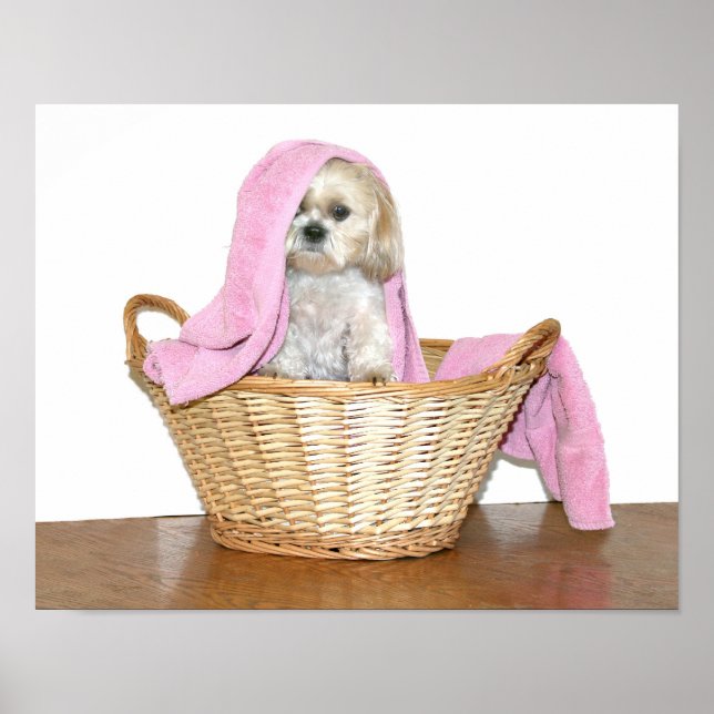 Poster Auxiliar de roupa (Frente)