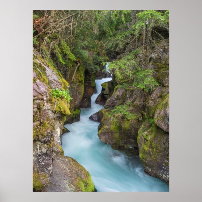 Poster Avalanche Creek, Parque Nacional Glacier, Montana (Frente)