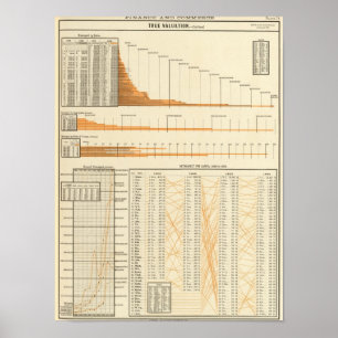 Póster Avaliação verdadeira