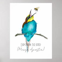 Poster Ave aquosa (apicultura europeia)