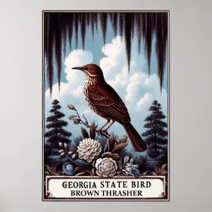 Poster Ave do Estado da Geórgia - Brown Thrasher Vintage