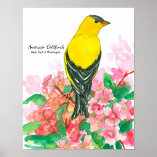 Póster Ave Estadual do Amarelo Goldfinch Americano