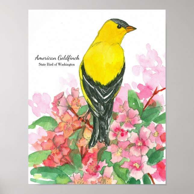 Póster Ave Estadual do Amarelo Goldfinch Americano (Frente)