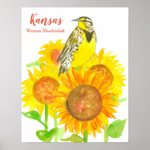 Póster Ave Estatal de Kansas Meadowlark Sunflower