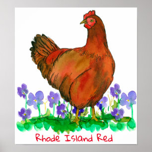Poster Ave Estatal de Rhode Island Red Hen Violets