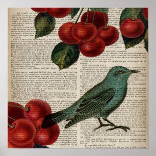 Poster ave francesa retro botanical red cherry