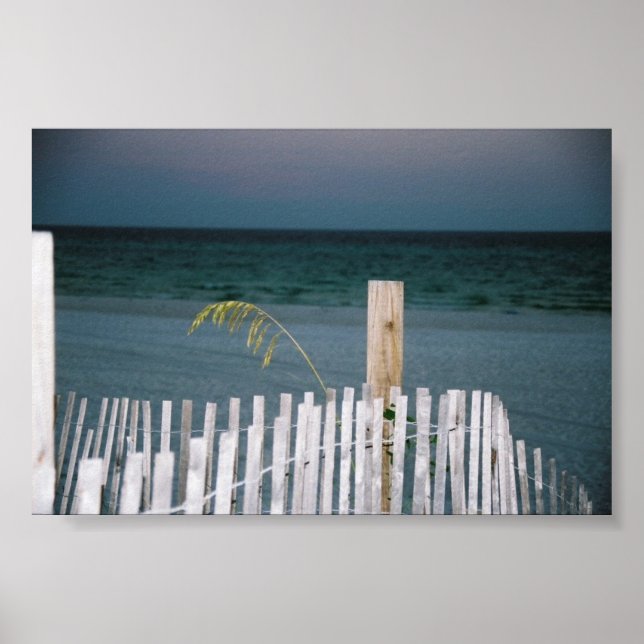 Poster aveia marinha (Frente)