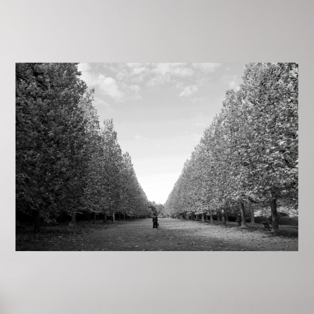Poster Avenida das Árvores Planeais: Tóquio (preto/branco (Frente)