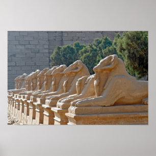 Poster Avenida das Esfinges no Templo de Karnak - Egito
