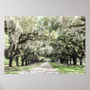 Poster Avenida de Oaks, Cadeado de Plantação de Boone