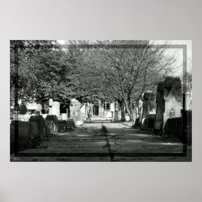 Poster Avenue (Frente)