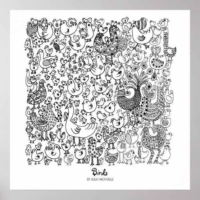 Poster Aves (Frente)