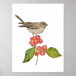 Poster Aves aquáticas "Sylvia curruca"