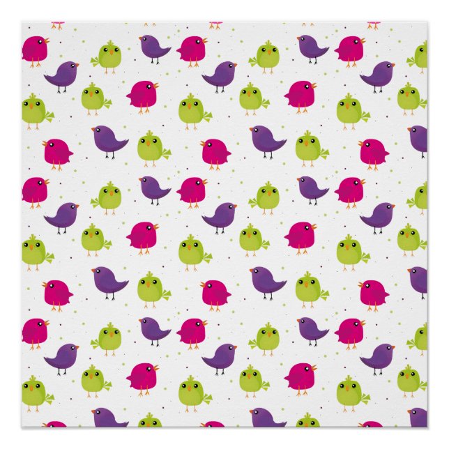 Póster Aves brancas e coloridas (Frente)