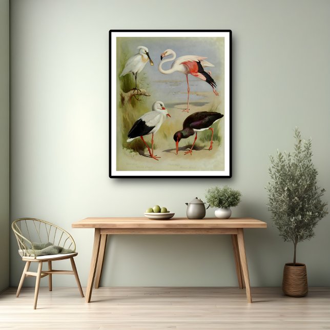 Poster Aves Britânicas, Ilustrações de Arte (Criador carregado)