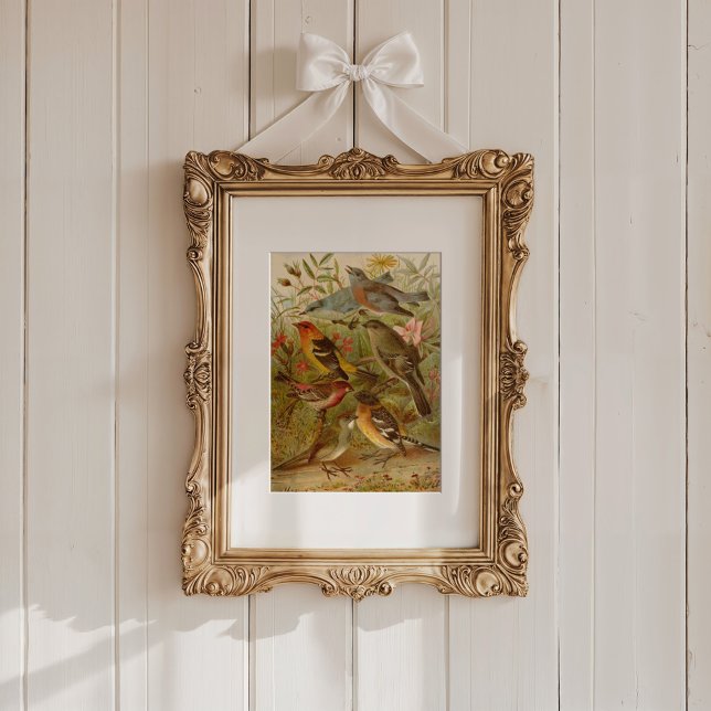 Poster Aves da América do Norte | Gustav Mü tzel (Criador carregado)