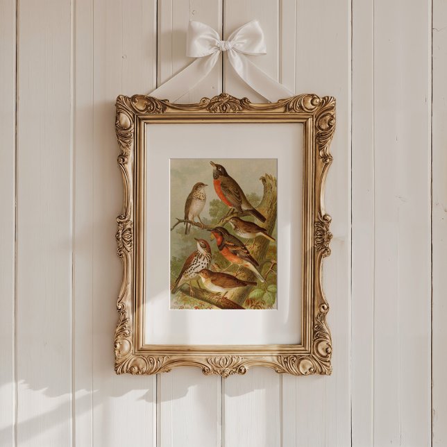 Poster Aves da América do Norte | Gustav Mü tzel (Criador carregado)