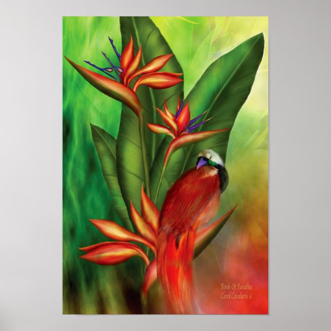 Póster Aves De Arte Do Paraíso Poster/Impressão (Frente)