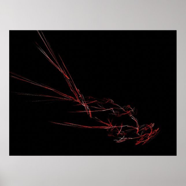 Póster Aves de capoeira (Frente)