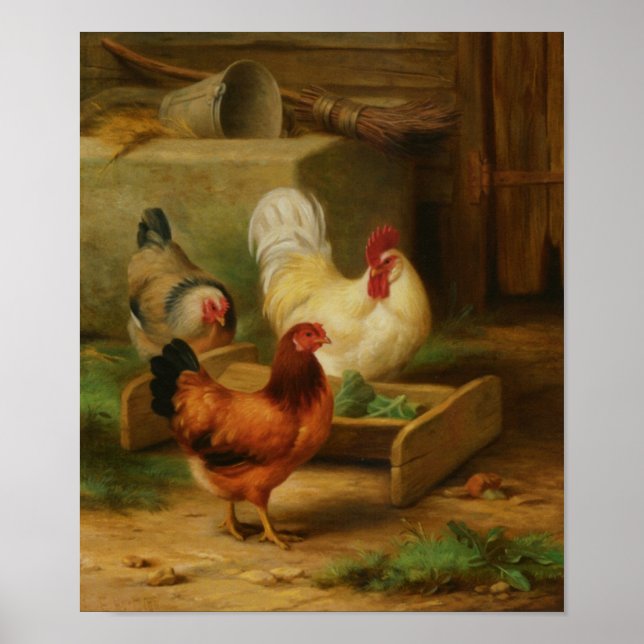 Póster Aves de capoeira alimentando-se num celeiro (Frente)