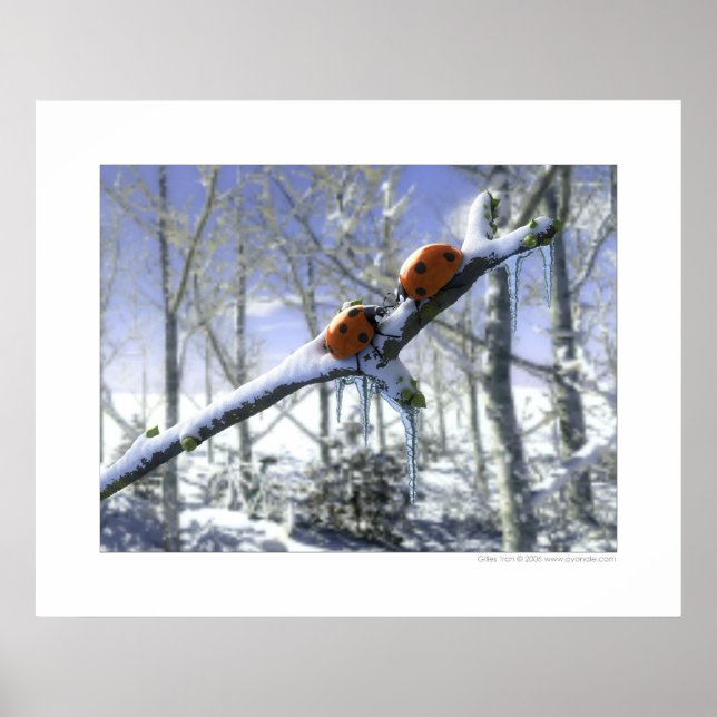 Póster Aves de capoeira de Natal (Frente)