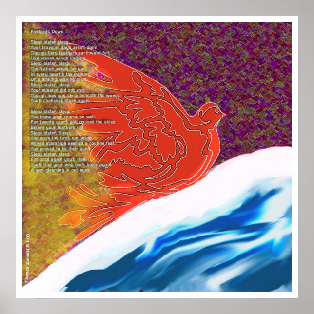 Póster Aves de capoeira para baixo (Frente)