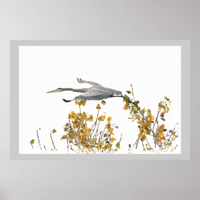 Poster Aves de excelente Azul-Heronárias Animais Selvagen (Frente)