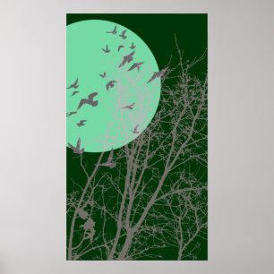 Póster aves de proteção