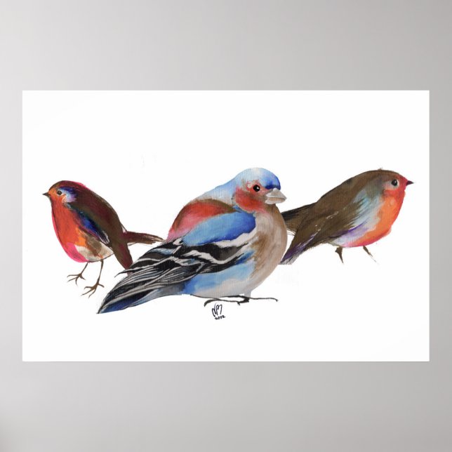 Póster Aves de uma pena de 2011 (Frente)