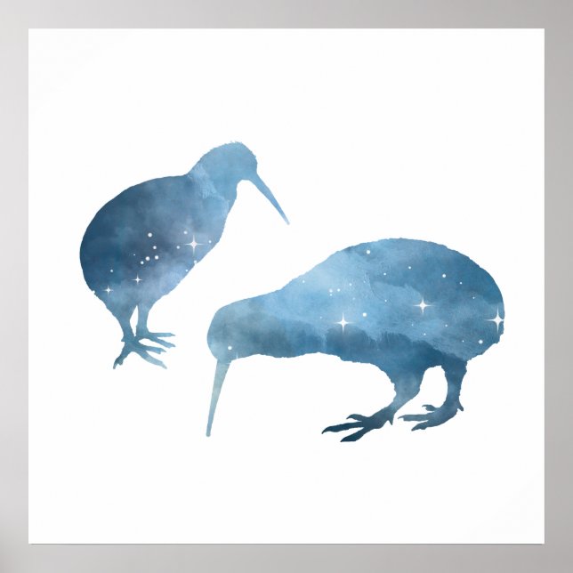 Poster aves do kiwi (Frente)