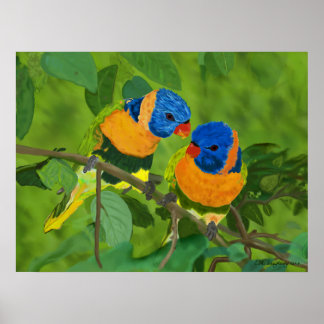 Póster Aves Do Paraíso