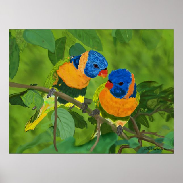 Póster Aves Do Paraíso (Frente)