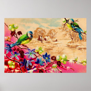 Poster aves e bagas