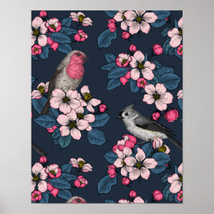 Poster Aves e Blossomas