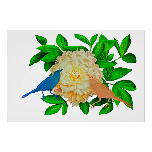 Póster Aves e Poster de flores (Frente)