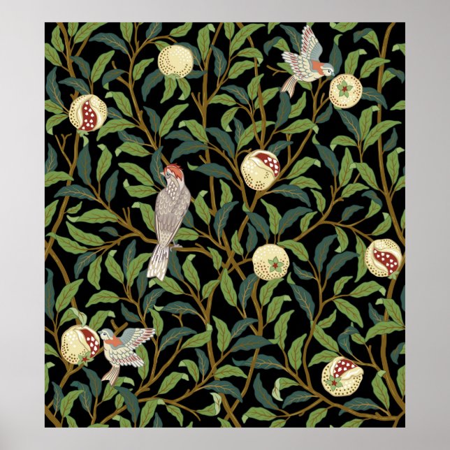 Poster Aves em folhagem com aves e mar fruta (Frente)