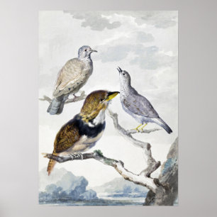 Poster Aves em Galho com Tom Neutro Elegante Arte