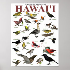 Póster Aves endêmicas do Hawai'i