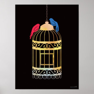 Poster Aves Gratuitas