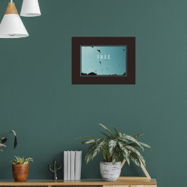 Poster Aves livres no céu