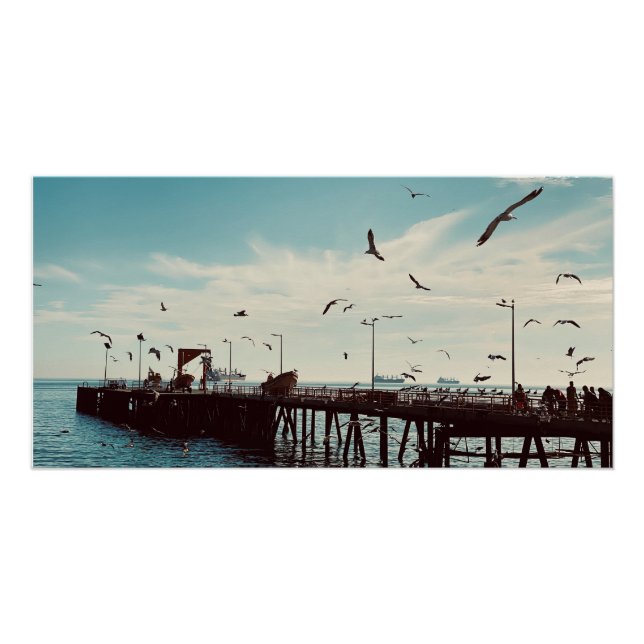 Póster Aves Marinhas Sobre o Pier (Frente)