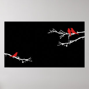 Póster aves mods
