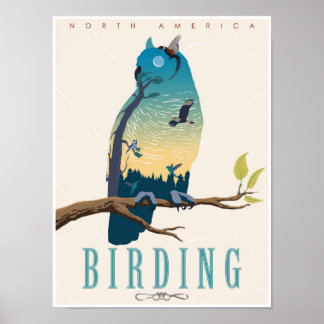 Poster Aves na América do Norte