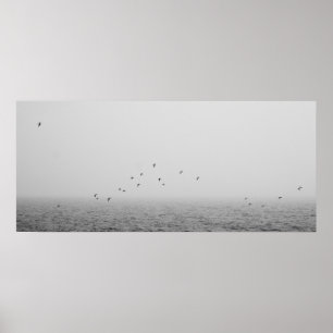Póster Aves no nevoeiro