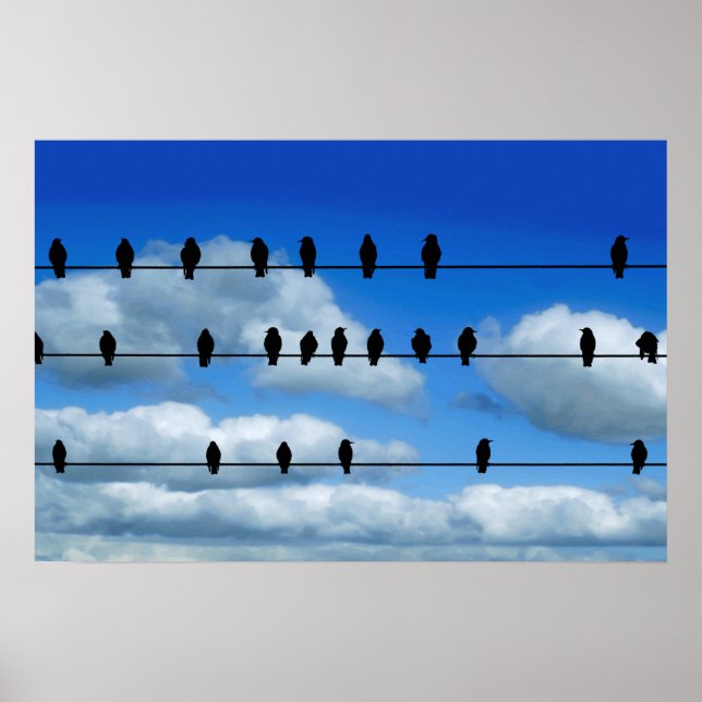 Poster Aves Num Fio (Frente)