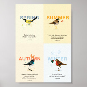 Poster aves sazonais ilustradas com aspas
