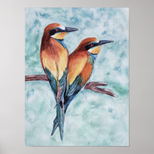 Poster Aves tropicais excepcionais