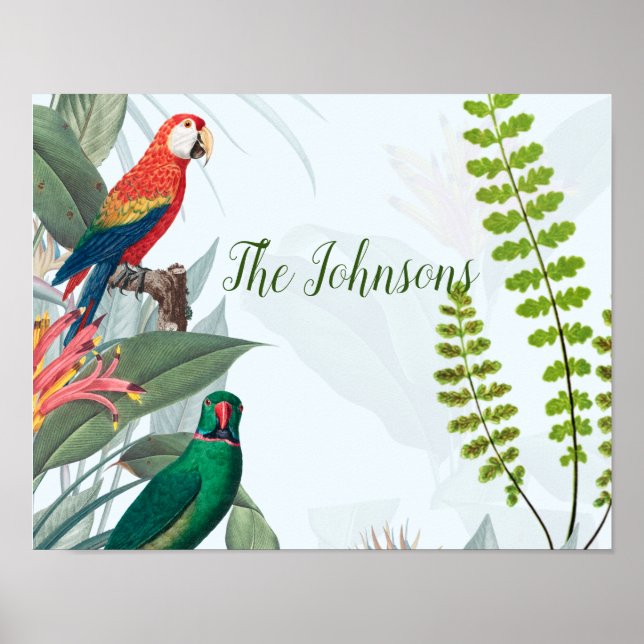Poster Aves Tropicais - Papagaios e Folhagem (Frente)
