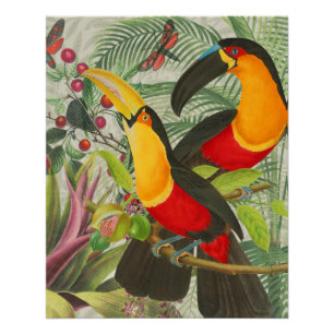 Póster Aves Tropicais Vibrantes Turianos Arte Selva Exóti